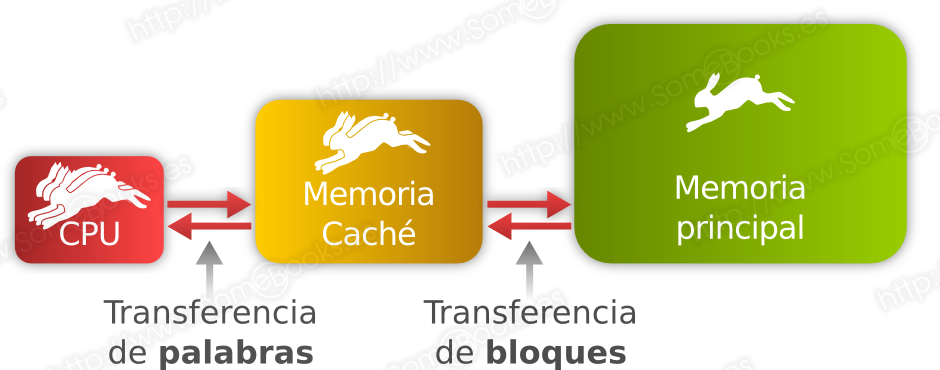 Memoria cache