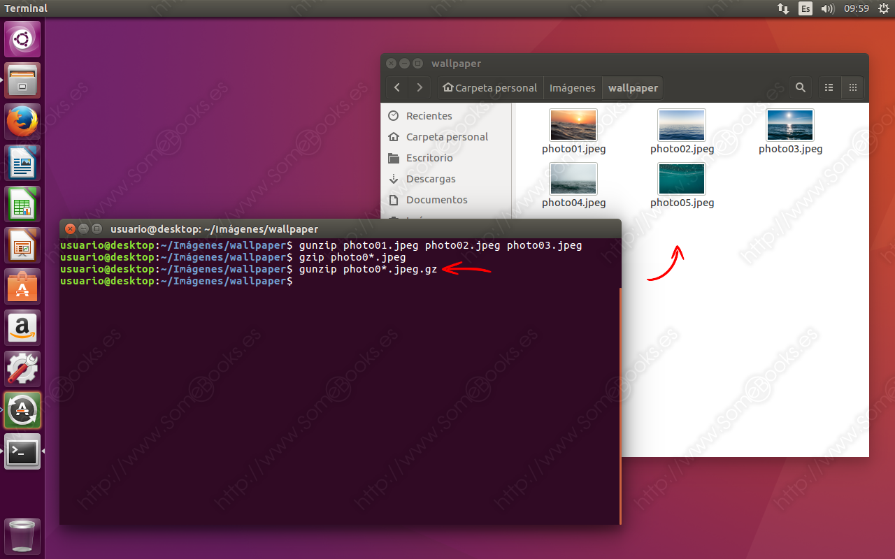 Comprimir-archivos-en-Ubuntu-con-el-comando-gzip-010