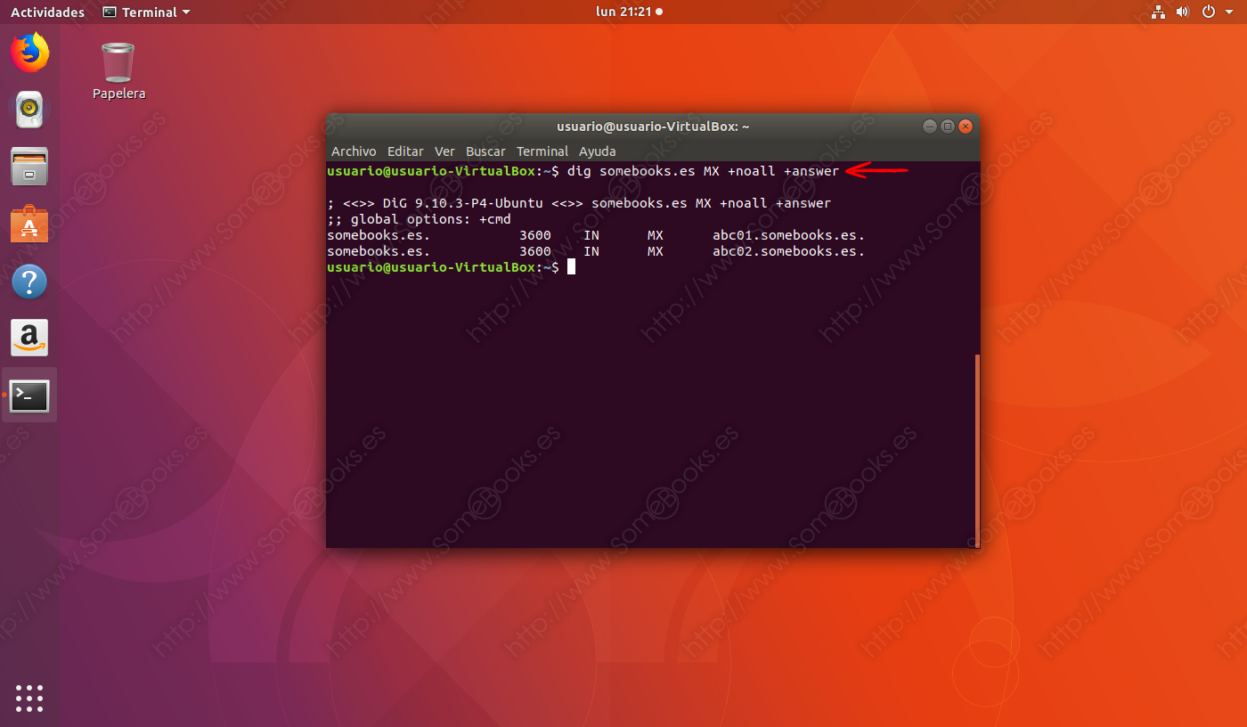 El-comando-dig-en-Ubuntu-003