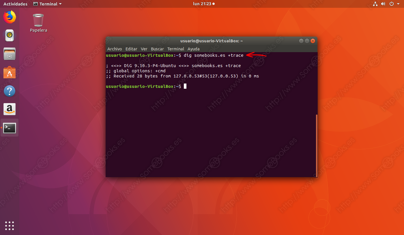 El-comando-dig-en-Ubuntu-006