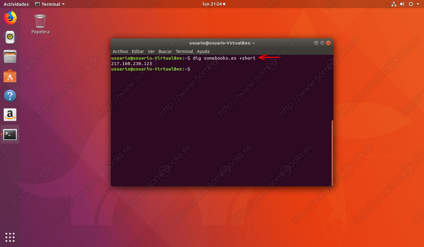 El-comando-dig-en-Ubuntu-013