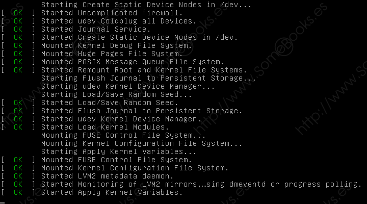 Instalar-Ubuntu-Server-18-04-LTS-Bionic-Beaver-desde-cero-002