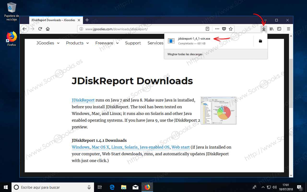 Averiguar-las-carpetas-y-archivos-que-consumen-mas-espacio-en-Windows-10-con-JDiskReport-005