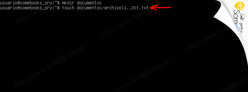 Copias-de-seguridad-en-Ubuntu-Server-1804-LTS-con-duplicity-002