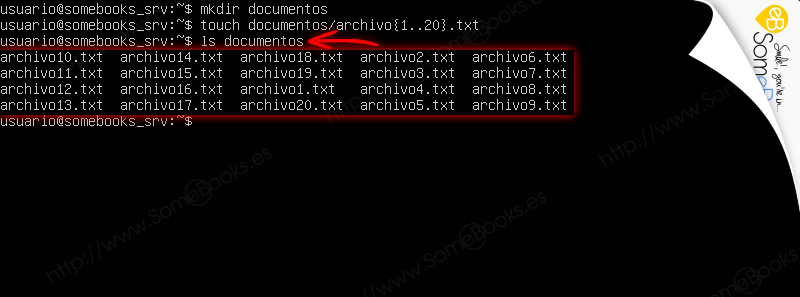 Copias-de-seguridad-en-Ubuntu-Server-1804-LTS-con-duplicity-003