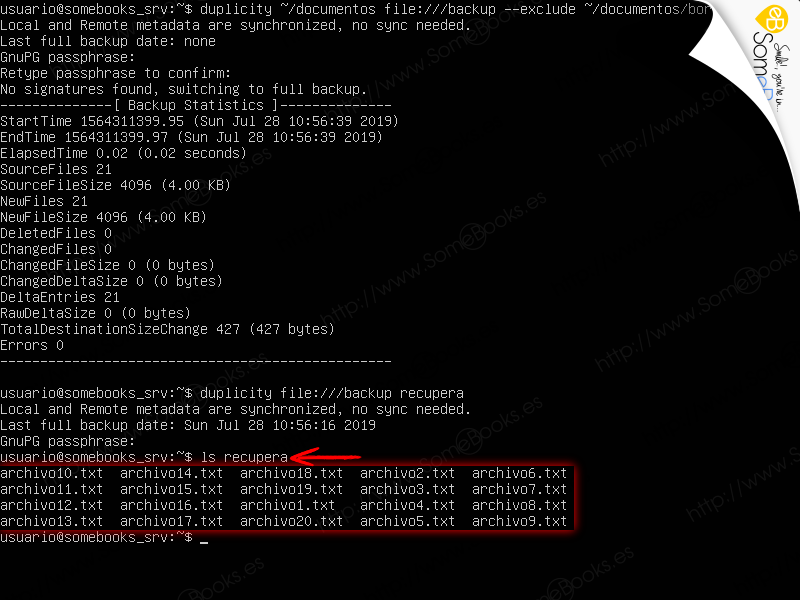 Copias-de-seguridad-en-Ubuntu-Server-1804-LTS-con-duplicity-028