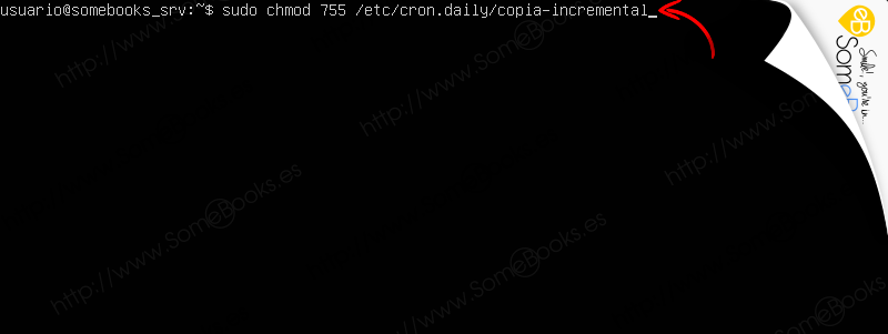 Copias-de-seguridad-en-Ubuntu-Server-1804-LTS-con-duplicity-parte-ii-008