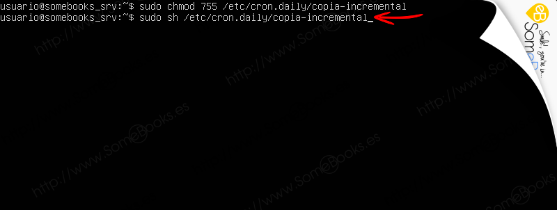 Copias-de-seguridad-en-Ubuntu-Server-1804-LTS-con-duplicity-parte-ii-009