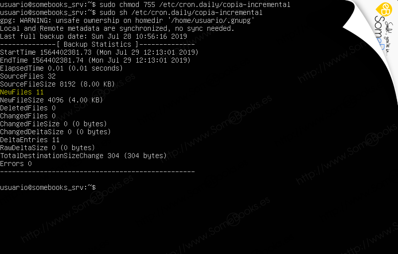 Copias-de-seguridad-en-Ubuntu-Server-1804-LTS-con-duplicity-parte-ii-010