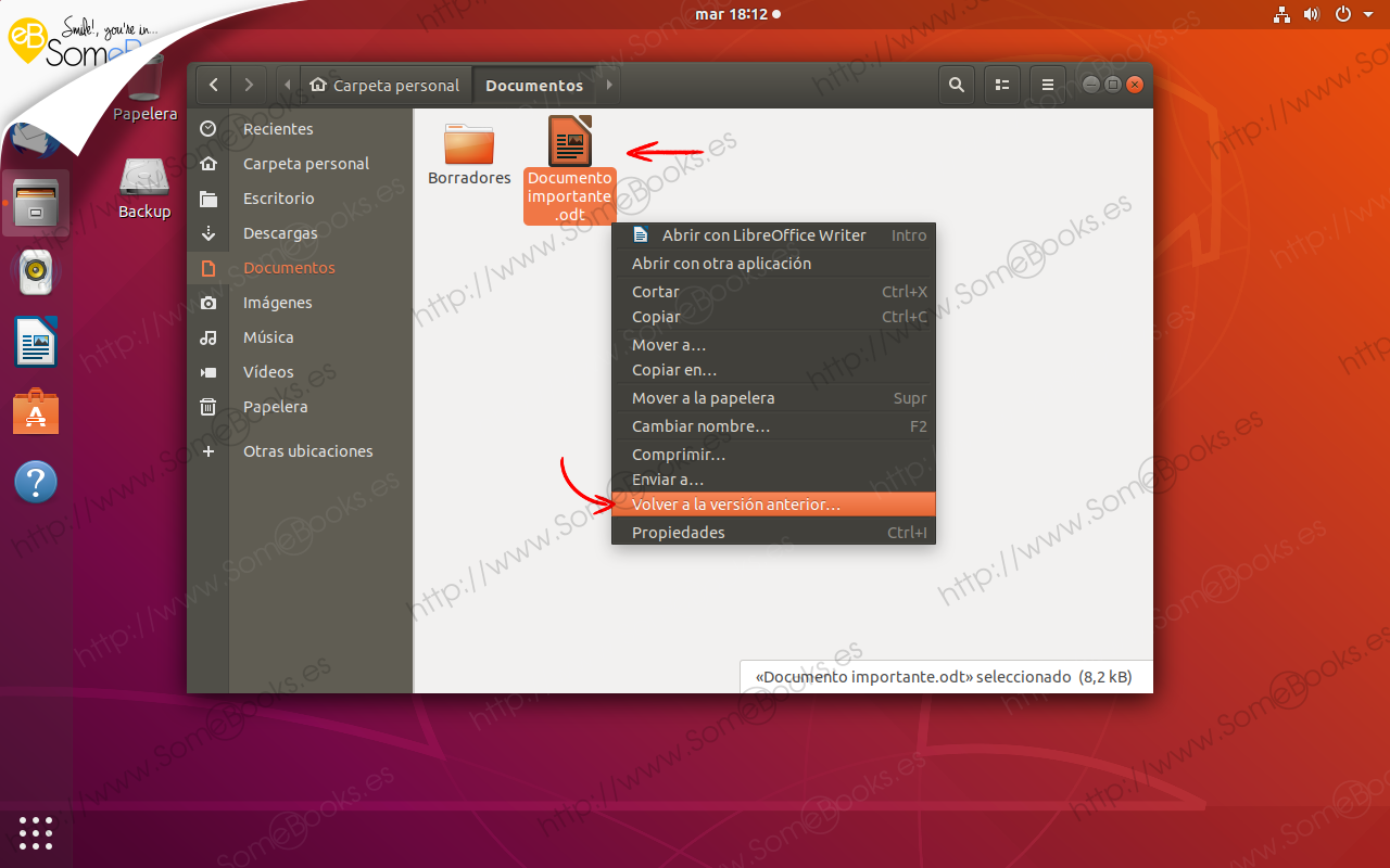 Copias-de-seguridad-integradas-en-Ubuntu-1804-LTS-parte-II-001
