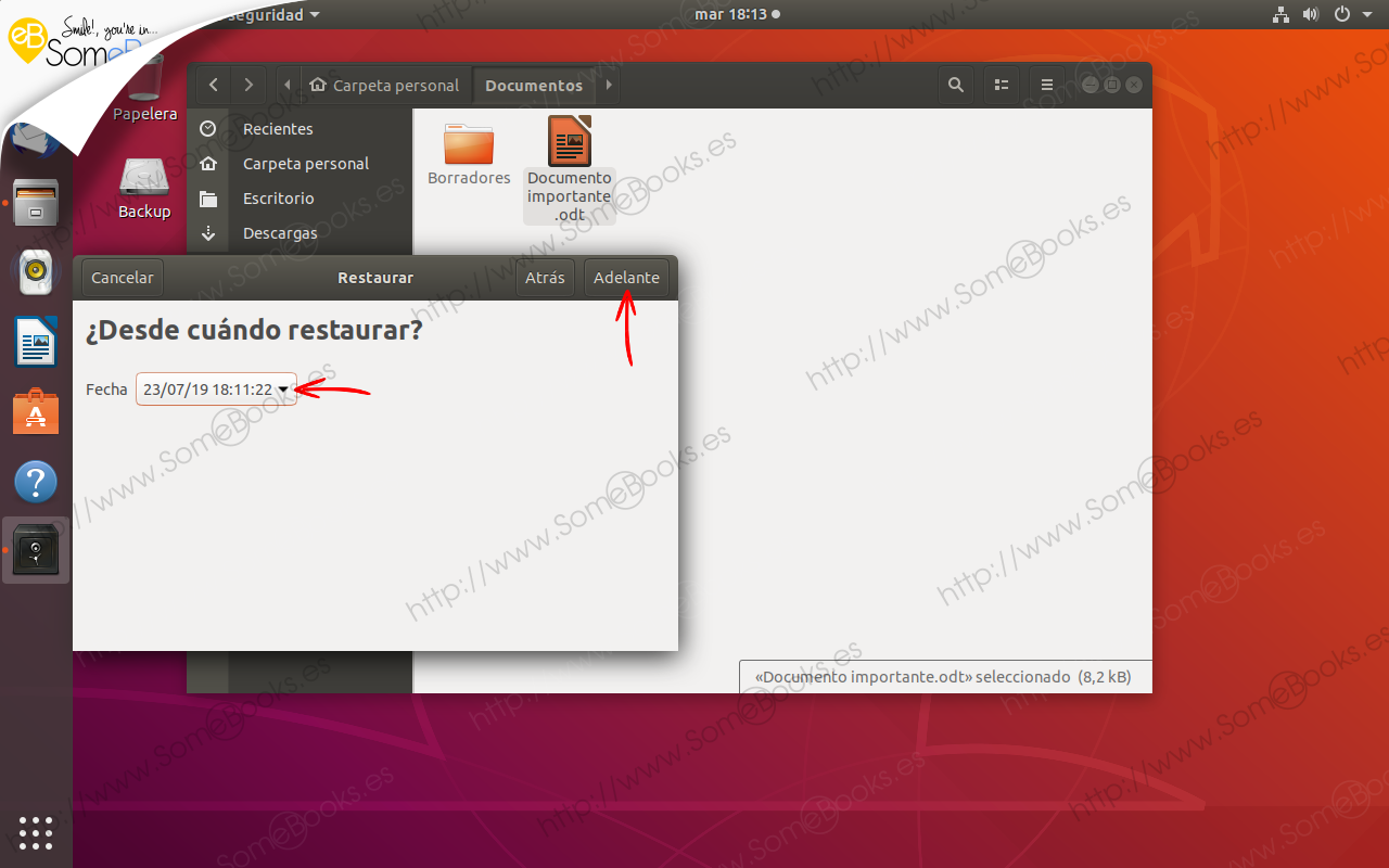 Copias-de-seguridad-integradas-en-Ubuntu-1804-LTS-parte-II-004