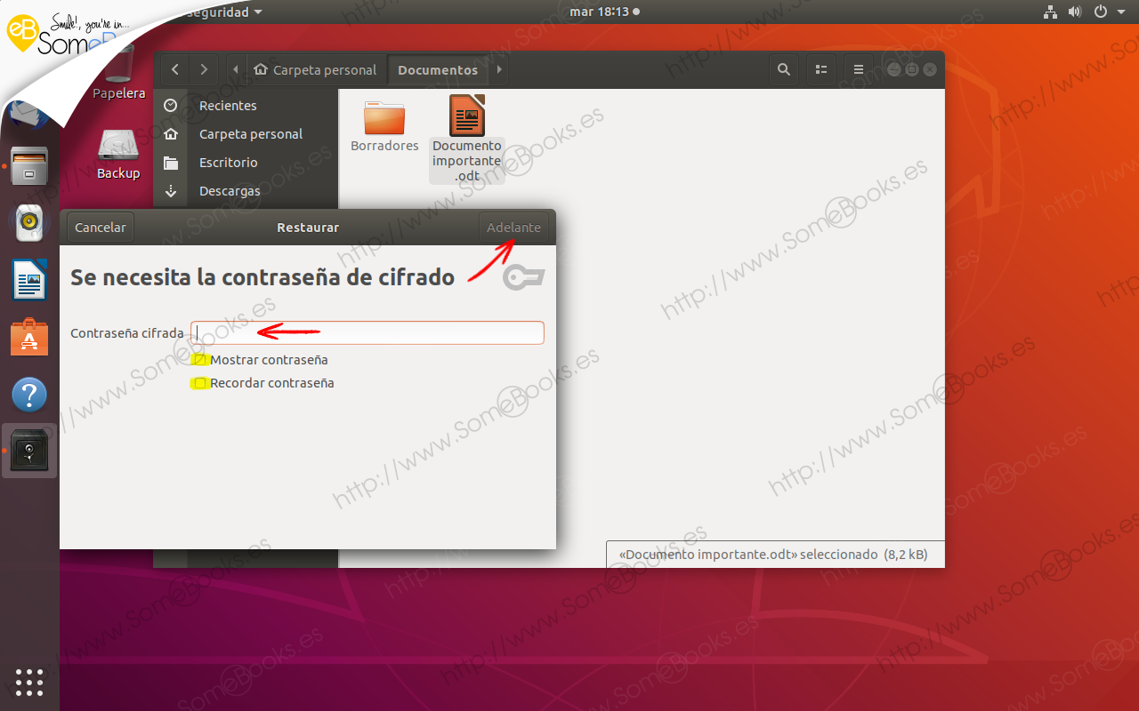 Copias-de-seguridad-integradas-en-Ubuntu-1804-LTS-parte-II-006
