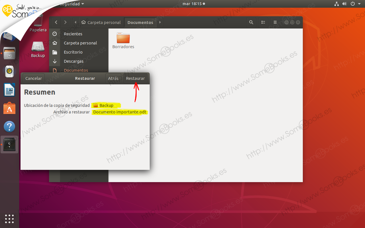 Copias-de-seguridad-integradas-en-Ubuntu-1804-LTS-parte-II-010