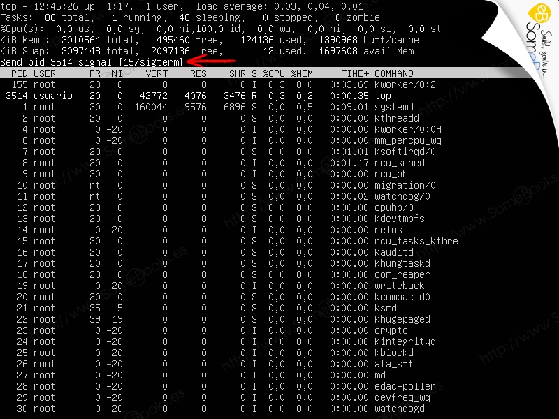 Monitorizar-Ubuntu-Server-1804-LTS-a-traves-de-comandos-003