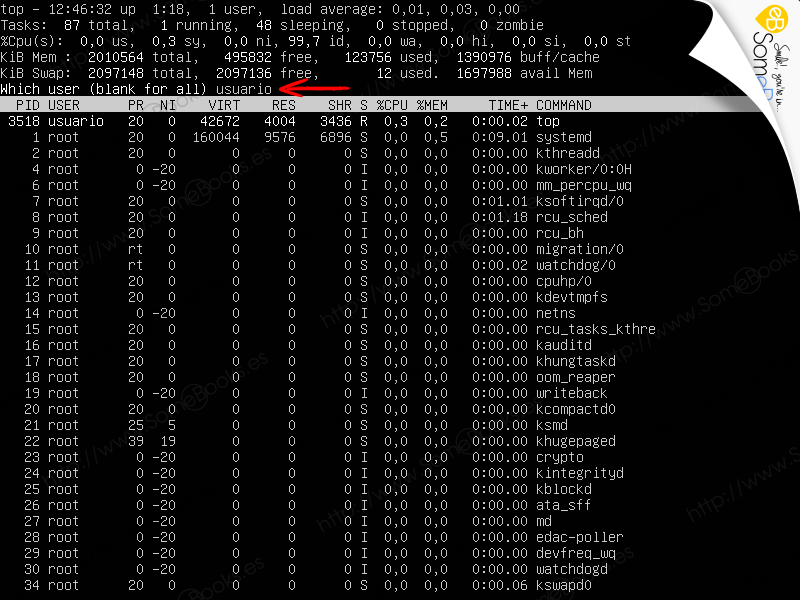 Monitorizar-Ubuntu-Server-1804-LTS-a-traves-de-comandos-004