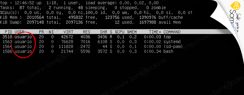 Monitorizar-Ubuntu-Server-1804-LTS-a-traves-de-comandos-005