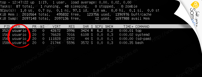 Monitorizar-Ubuntu-Server-1804-LTS-a-traves-de-comandos-007