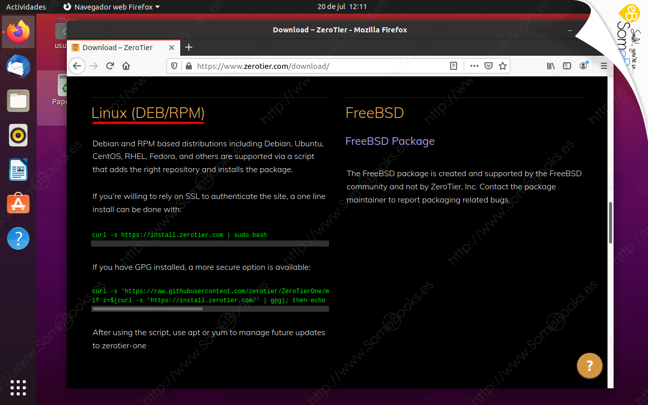 ZeroTier-(parte-3)-Añadir-a-la-VPN-un-equipo-con-Ubuntu-20-04-LTS-002