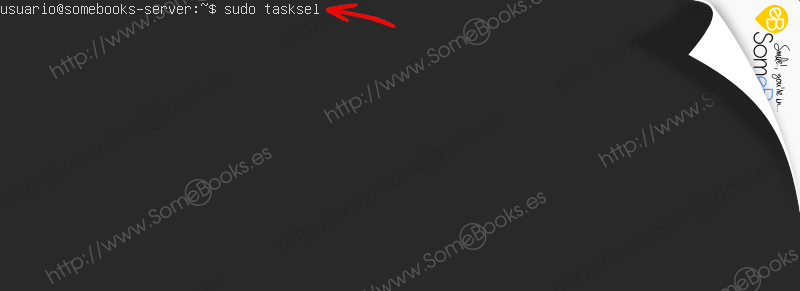 Instalar-grupos-de-programas-en-Ubuntu-20-04-LTS-con-Tasksel-007