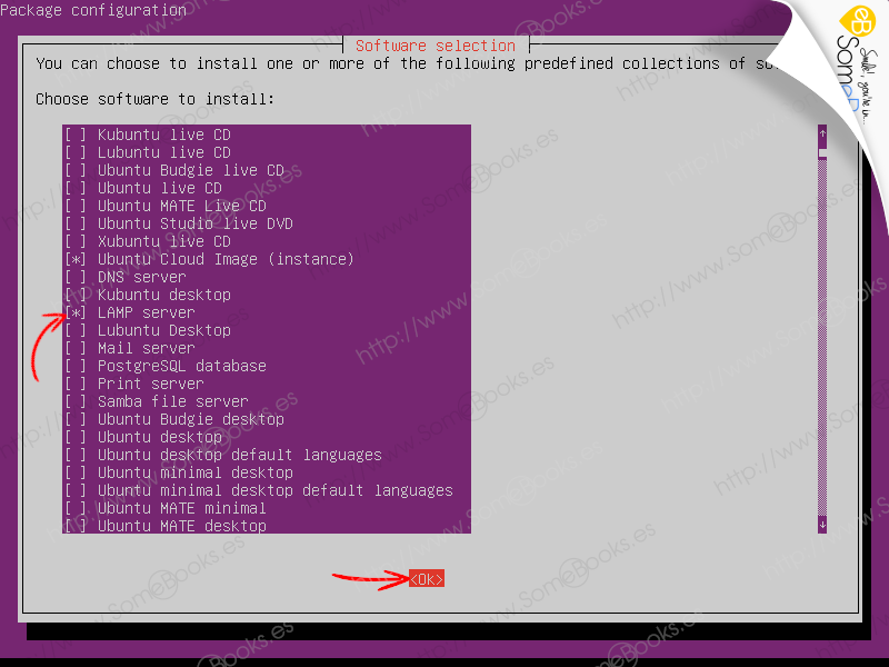 Instalar-grupos-de-programas-en-Ubuntu-20-04-LTS-con-Tasksel-009