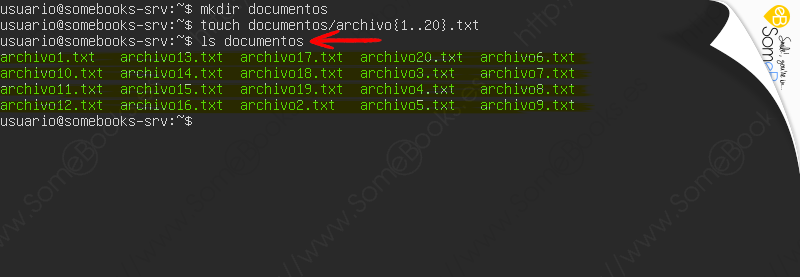 Copias-de-seguridad-en-Ubuntu-Server-20-04-LTS-con-duplicity-Parte-I-003