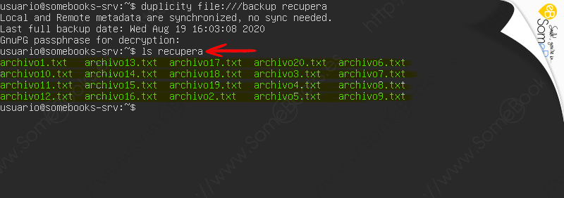 Copias-de-seguridad-en-Ubuntu-Server-20-04-LTS-con-duplicity-Parte-I-018