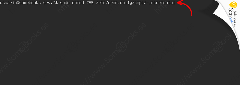 Copias-de-seguridad-en-Ubuntu-Server-20-04-LTS-con-duplicity-Parte-II-008