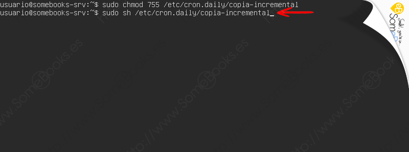 Copias-de-seguridad-en-Ubuntu-Server-20-04-LTS-con-duplicity-Parte-II-009