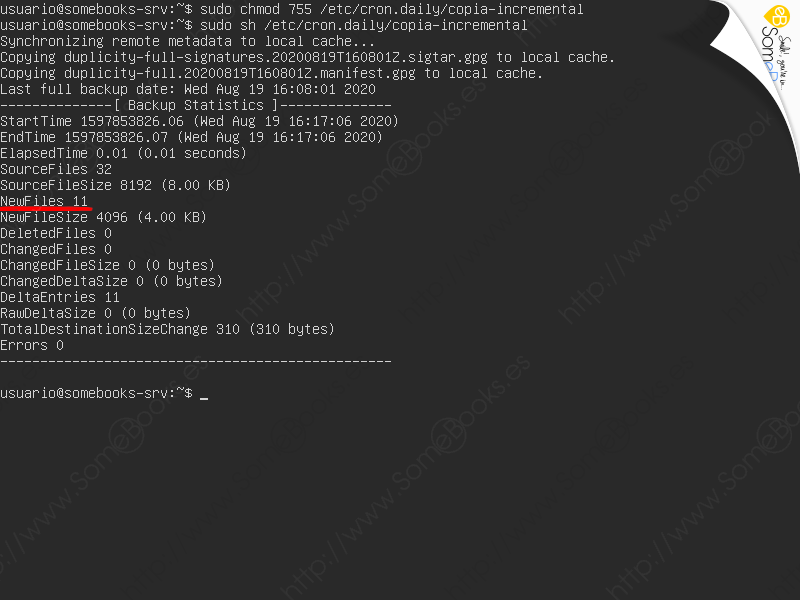 Copias-de-seguridad-en-Ubuntu-Server-20-04-LTS-con-duplicity-Parte-II-010