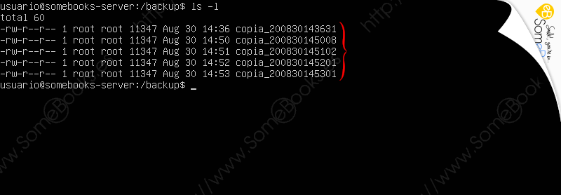 Copias-de-seguridad-en-Ubuntu-con-Webmin-015