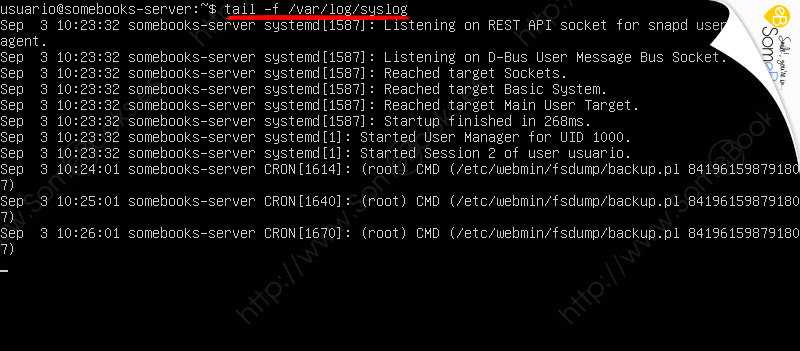 Consultar-los-sucesos-del-sistema-en-Ubuntu-Server-20-04-LTS-005