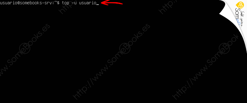 Monitorizar-Ubuntu-Server-20-04-LTS-a-traves-de-comandos-006