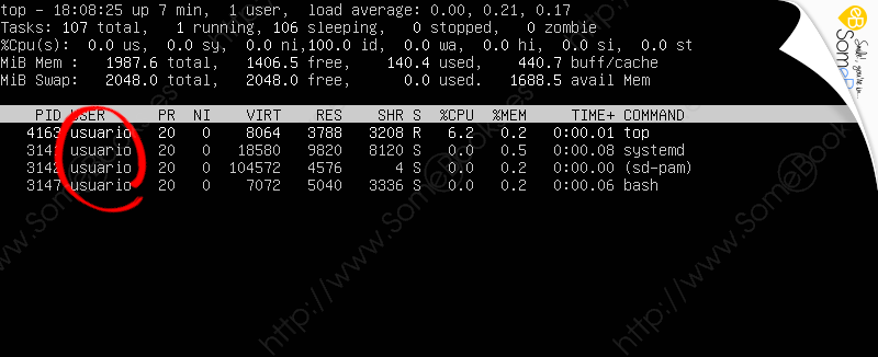Monitorizar-Ubuntu-Server-20-04-LTS-a-traves-de-comandos-007