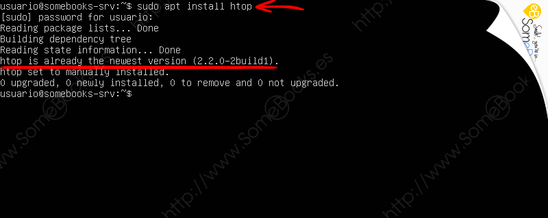 Monitorizar-Ubuntu-Server-20-04-LTS-a-traves-de-comandos-011.png
