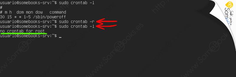 Programar-una-tarea-repetitiva-en-Ubuntu-Server-20.04-LTS-010