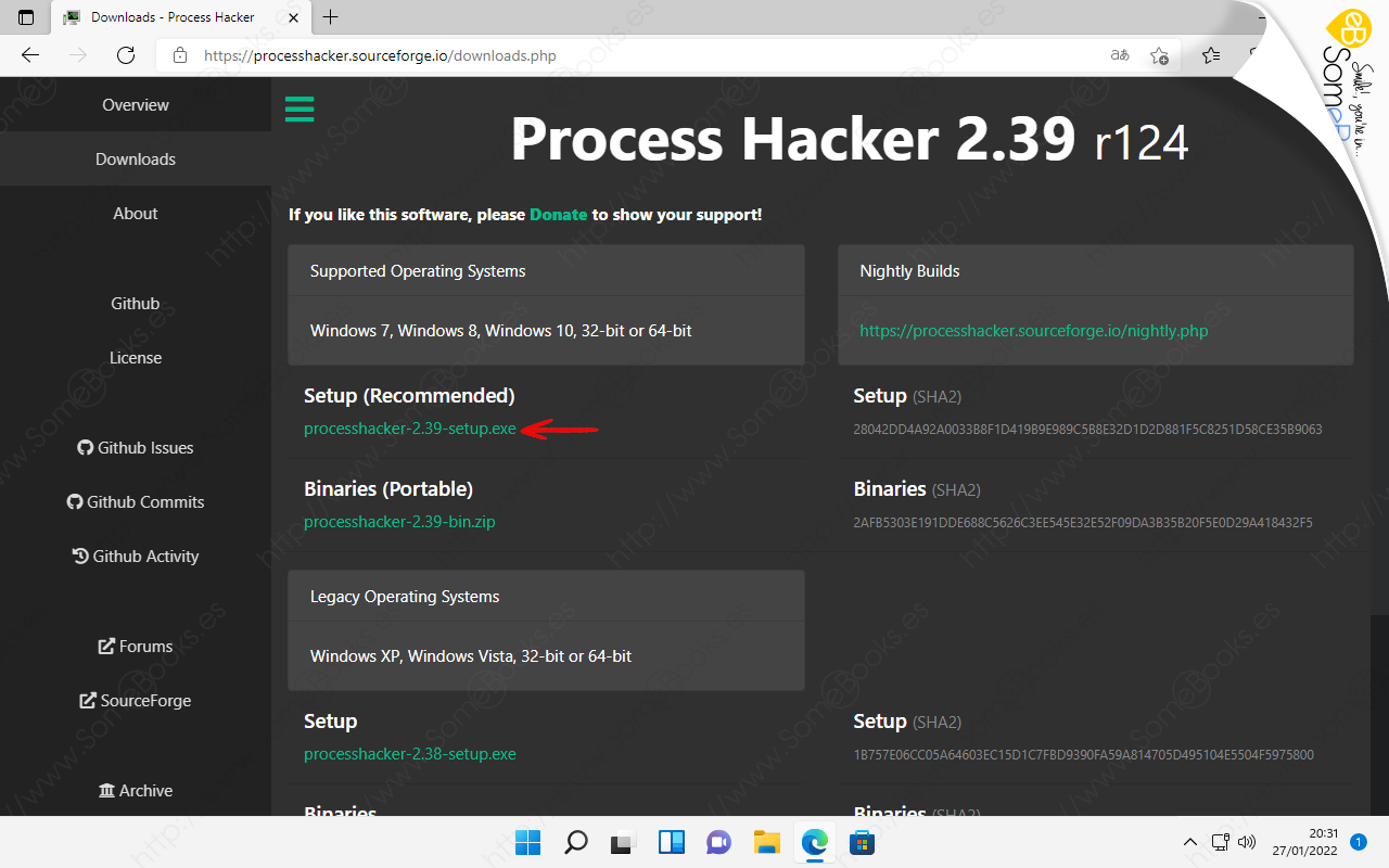 Process-Hacker-la-alternativa-al-Administrador-de-tareas-de-Windows-11-002