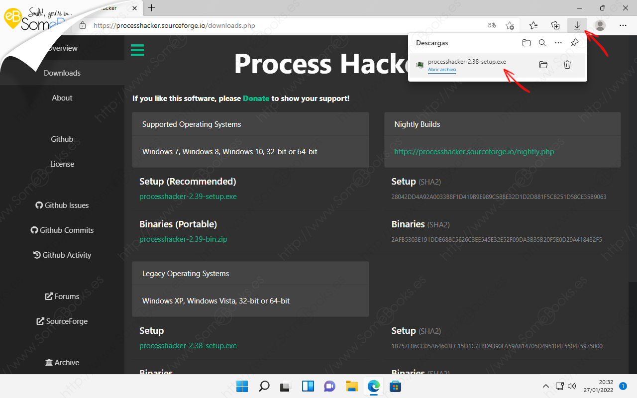 Process-Hacker-la-alternativa-al-Administrador-de-tareas-de-Windows-11-003