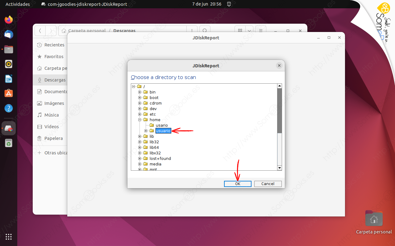 Averiguar-las-carpetas-y-archivos-que-consumen-más-espacio-en-Ubuntu-22-04-LTS-con-JDiskReport-008