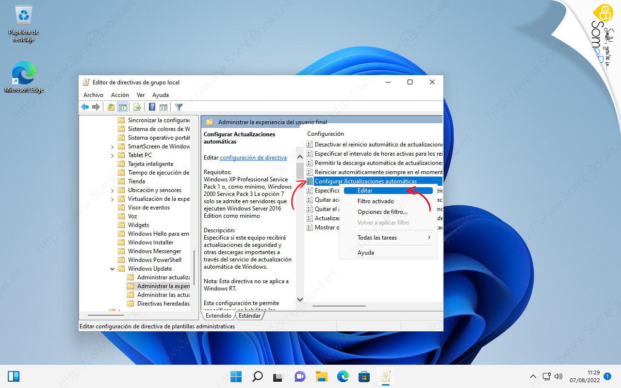 Deshabilitar-por-completo-las-actualizaciones-de-Windows-11-005