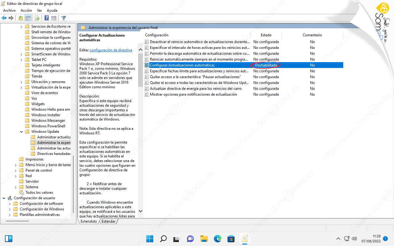 Deshabilitar-por-completo-las-actualizaciones-de-Windows-11-007